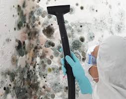 Mold Odor Removal Services in Puxico, MO